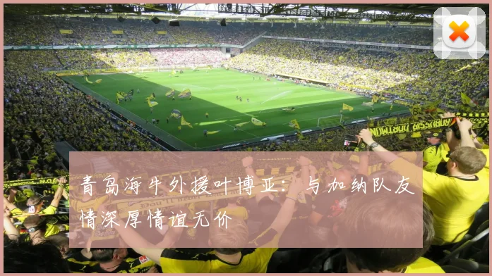青岛海牛外援叶博亚：与加纳队友情深厚情谊无价