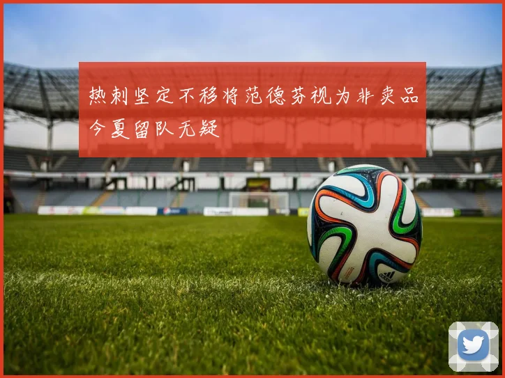 热刺坚定不移将范德芬视为非卖品今夏留队无疑