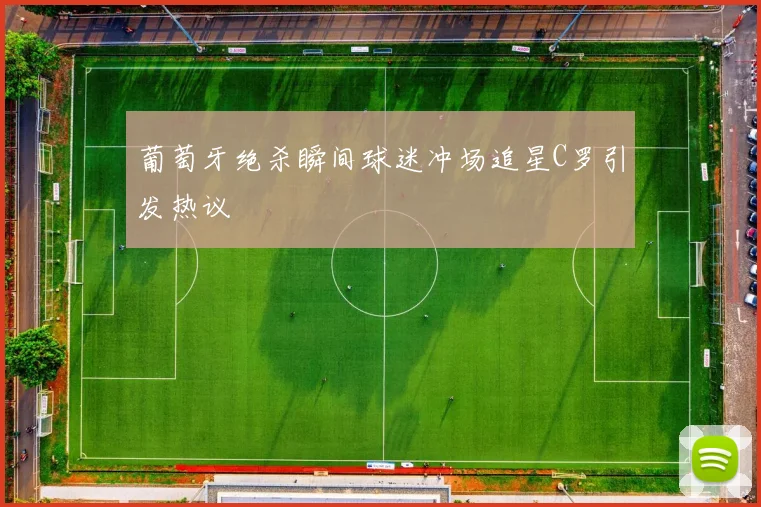 葡萄牙绝杀瞬间球迷冲场追星C罗引发热议